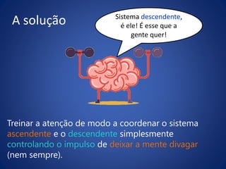 A solução Sistema descendente,
é ele! É esse que a
gente quer!
Treinar a atenção de modo a coordenar o sistema
ascendente e o descendente simplesmente
controlando o impulso de deixar a mente divagar
(nem sempre).
 