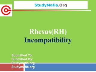 StudyMafia.Org
Submitted To:
Submitted By:
Studymafia.org
Studymafia.org
Rhesus(RH)
Incompatibility
 