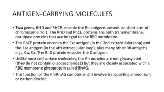 Rhag Protein Rbc Comprehensive Overview of Isoimmunization and Blood Group Antigens in ...