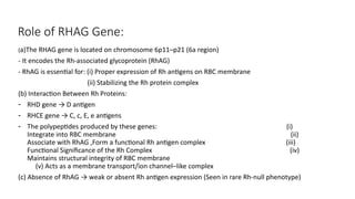 Rhag Protein Rbc Comprehensive Overview of Isoimmunization and Blood Group Antigens in ...
