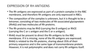 Rhag Protein Rbc Comprehensive Overview of Isoimmunization and Blood Group Antigens in ...