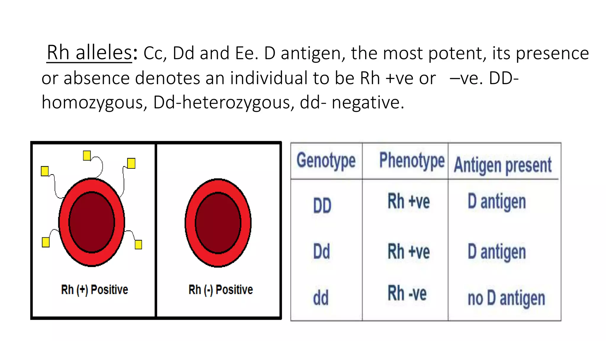 Rh alleles: Cc, Dd and Ee. D antigen, the most potent, its presence
or absence denotes an individual to be Rh +ve or –ve. DD-
homozygous, Dd-heterozygous, dd- negative.
 