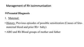 Rh iso immunization | PPTX