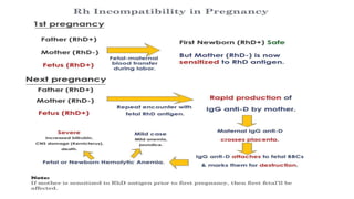 Rh iso immunization | PPTX