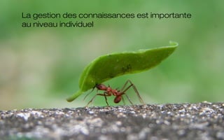 La gestion des connaissances est importante
au niveau individuel
 