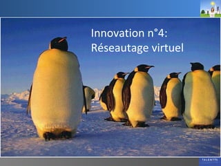 Innovation n°4: Réseautage virtuel 