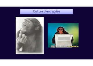 Culture d’entreprise
 