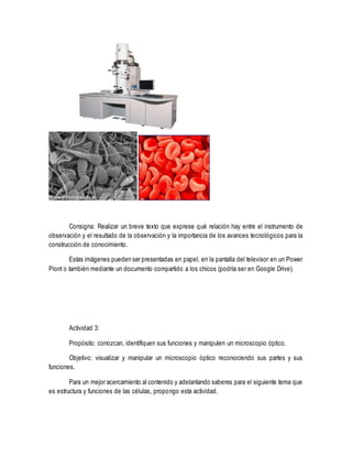 Consigna: Realizar un breve texto que exprese qué relación hay entre el instrumento de
observación y el resultado de la observación y la importancia de los avances tecnológicos para la
construcción de conocimiento.
Estas imágenes pueden ser presentadas en papel, en la pantalla del televisor en un Power
Piont o también mediante un documento compartido a los chicos (podría ser en Google Drive).
Actividad 3:
Propósito: conozcan, identifiquen sus funciones y manipulen un microscopio óptico.
Objetivo: visualizar y manipular un microscopio óptico reconociendo sus partes y sus
funciones.
Para un mejor acercamiento al contenido y adelantando saberes para el siguiente tema que
es estructura y funciones de las células, propongo esta actividad.
 