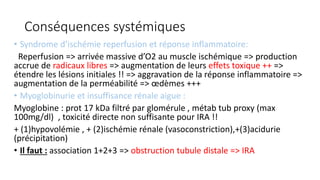 Conséquences systémiques
• Syndrome d’ischémie reperfusion et réponse inflammatoire:
Reperfusion => arrivée massive d’O2 au muscle ischémique => production
accrue de radicaux libres => augmentation de leurs effets toxique ++ =>
étendre les lésions initiales !! => aggravation de la réponse inflammatoire =>
augmentation de la perméabilité => œdèmes +++
• Myoglobinurie et insuffisance rénale aigue :
Myoglobine : prot 17 kDa filtré par glomérule , métab tub proxy (max
100mg/dl) , toxicité directe non suffisante pour IRA !!
+ (1)hypovolémie , + (2)ischémie rénale (vasoconstriction),+(3)acidurie
(précipitation)
• Il faut : association 1+2+3 => obstruction tubule distale => IRA
 
