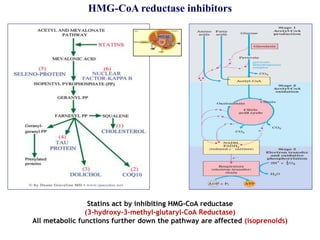 Statins act by inhibiting HMG-CoA reductase
(3-hydroxy-3-methyl-glutaryl-CoA Reductase)
All metabolic functions further down the pathway are affected (isoprenoids)
HMG-CoA reductase inhibitors
 