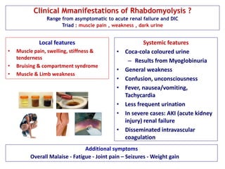 Clinical Mmanifestations of Rhabdomyolysis ?
Range from asymptomatic to acute renal failure and DIC
Triad : muscle pain , weakness , dark urine
Systemic features
• Coca-cola coloured urine
– Results from Myoglobinuria
• General weakness
• Confusion, unconsciousness
• Fever, nausea/vomiting,
Tachycardia
• Less frequent urination
• In severe cases: AKI (acute kidney
injury) renal failure
• Disseminated intravascular
coagulation
Additional symptoms
Overall Malaise - Fatigue - Joint pain – Seizures - Weight gain
Local features
• Muscle pain, swelling, stiffness &
tenderness
• Bruising & compartment syndrome
• Muscle & Limb weakness
 