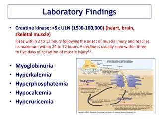 Laboratory Findings
• Creatine kinase: >5x ULN (1500-100,000) (heart, brain,
skeletal muscle)
Rises within 2 to 12 hours following the onset of muscle injury and reaches
its maximum within 24 to 72 hours. A decline is usually seen within three
to five days of cessation of muscle injury1,2.
• Myoglobinuria
• Hyperkalemia
• Hyperphosphatemia
• Hypocalcemia
• Hyperuricemia
 
