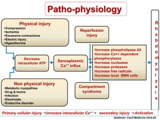 Physical injury
Compression
Ischemia
Excessive contractions
Electric injury
Hyperthermia
Non physical injury
•Metabolic myopathies
•Drug & toxins
•Infection
•Electrolyte
•Endocrine disorder
Decrease
intracellular ATP
Sarcoplasmic
Ca++ influx
Reperfusion
injury
Compartment
syndrome
•Increase phospholipase A2
•Increase Ca++ dependent
phosphorylases
•Increase nucleases
•Increase proteases
•Increase free radicals
•Increase local BMN cells
R
h
a
b
d
o
m
y
o
l
y
s
i
s
Primary cellular injury inrcease intracellular Ca++ secondary injury Activation
Goldman: Cecil Medicine 23rd ed
Patho-physiology
 