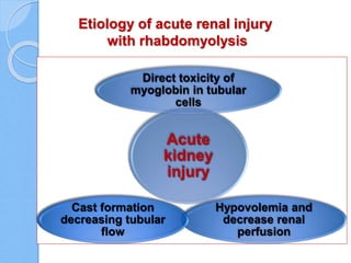 Etiology of acute renal injury
with rhabdomyolysis
Acute
kidney
injury
Direct toxicity of
myoglobin in tubular
cells
Hypovolemia and
decrease renal
perfusion
Cast formation
decreasing tubular
flow
 