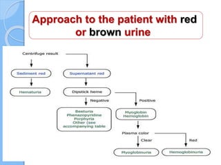 Approach to the patient with red
or brown urine
 