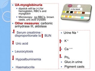  UA-myoglobinuria
 dipstick will be (+) for
hemoglobin, RBC’s and
myoglobin
 Microscopy: no RBC’s, brown
casts, uric acid crystals
 Other measures: carbonic
anhydrase III, aldolase
 Serum creatinine :
disproportionate to BUN
 Uric acid
 Leucocytosis
 Hypoalbuminemia
 Haematocrite
 Urine Na +
 K +
 Ca + +
 Po4
 Gluc.in urine
 Pigment casts
(+) for blood
 