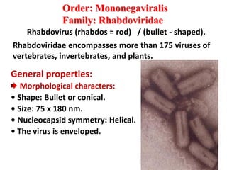 Rhabdoviridae. | PDF