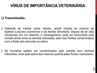 17
 Transmissão:
 Depende de insetos como vetores, sendo citadas as moscas da
espécie Lutzomia shamnnoni e da família Simuliidae. Depois de ter sido
introduzido em um rebanho, o microrganismo pode ser transmitido pelo
contato direto entre os animais infectados, além dos fômites contaminados
com o fluido das vesículas ou saliva.
 Os humanos podem ser contaminados pelo contato com animais
infectados, tanto pela saliva dos mesmos quanto pelos fluidos vesiculares
VÍRUS DE IMPORTÂNCIA VETERINÁRIA
 