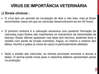 18
VÍRUS DE IMPORTÂNCIA VETERINÁRIA
 Sinais clínicos :
 O vírus tem um período de incubação de dois a oito dias, mas já foram
encontrados casos em que as vesículas desenvolveram-se em 24 horas.
 O primeiro sintoma é a salivação excessiva com posterior formação de
vesículas cujos fluidos são importantes no mecanismo de transmissão da
doença. Essas últimas aparecem nas tetas (em bovinos, podendo levar a
mastite com perda da função mamária), língua, no interior e exterior dos
lábios, focinho e patas (a coroa do casco é particularmente afetada).
 Após a erosão das vesículas, as úlceras provocam anorexia e recusa a
beber. O animal perde muito peso e rebanhos leiteiros apresentam perda
na produção.
 