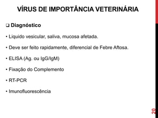 20
VÍRUS DE IMPORTÂNCIA VETERINÁRIA
 Diagnóstico
• Liquido vesicular, saliva, mucosa afetada.
• Deve ser feito rapidamente, diferencial de Febre Aftosa.
• ELISA (Ag. ou IgG/IgM)
• Fixação do Complemento
• RT-PCR
• Imunofluorescência
 