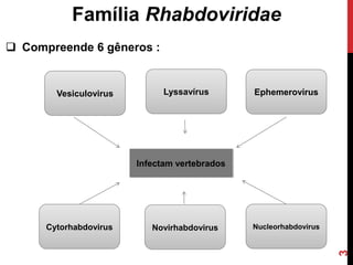 Família Rhabdoviridae
 Compreende 6 gêneros :
Vesiculovirus
Cytorhabdovirus Novirhabdovirus
Lyssavírus
Nucleorhabdovirus
Ephemerovirus
Infectam vertebrados
3
 