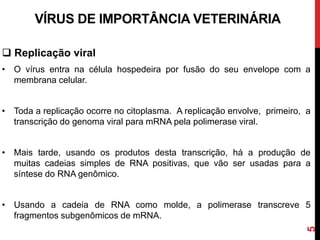  Replicação viral
• O vírus entra na célula hospedeira por fusão do seu envelope com a
membrana celular.
• Toda a replicação ocorre no citoplasma. A replicação envolve, primeiro, a
transcrição do genoma viral para mRNA pela polimerase viral.
• Mais tarde, usando os produtos desta transcrição, há a produção de
muitas cadeias simples de RNA positivas, que vão ser usadas para a
síntese do RNA genômico.
• Usando a cadeia de RNA como molde, a polimerase transcreve 5
fragmentos subgenômicos de mRNA.
VÍRUS DE IMPORTÂNCIA VETERINÁRIA
5
 