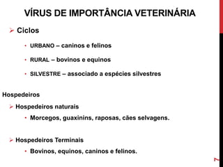 VÍRUS DE IMPORTÂNCIA VETERINÁRIA
 Ciclos
• URBANO – caninos e felinos
• RURAL – bovinos e equinos
• SILVESTRE – associado a espécies silvestres
Hospedeiros
 Hospedeiros naturais
• Morcegos, guaxinins, raposas, cães selvagens.
 Hospedeiros Terminais
• Bovinos, equinos, caninos e felinos.
7
 