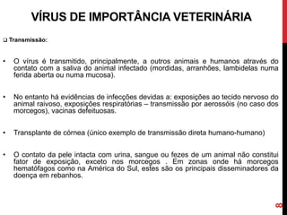 VÍRUS DE IMPORTÂNCIA VETERINÁRIA
 Transmissão:
• O vírus é transmitido, principalmente, a outros animais e humanos através do
contato com a saliva do animal infectado (mordidas, arranhões, lambidelas numa
ferida aberta ou numa mucosa).
• No entanto há evidências de infecções devidas a: exposições ao tecido nervoso do
animal raivoso, exposições respiratórias – transmissão por aerossóis (no caso dos
morcegos), vacinas defeituosas.
• Transplante de córnea (único exemplo de transmissão direta humano-humano)
• O contato da pele intacta com urina, sangue ou fezes de um animal não constitui
fator de exposição, exceto nos morcegos . Em zonas onde há morcegos
hematófagos como na América do Sul, estes são os principais disseminadores da
doença em rebanhos.
8
 