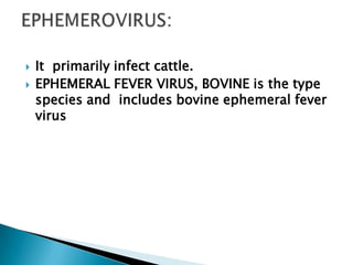    It primarily infect cattle.
   EPHEMERAL FEVER VIRUS, BOVINE is the type
    species and includes bovine ephemeral fever
    virus
 