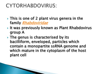    This is one of 2 plant virus genera in the
    family Rhabdoviridae
   It was previously known as Plant Rhabdovirus
    group A
   The genus is characterised by its
    bacilliform, enveloped, particles which
    contain a monopartite ssRNA genome and
    which mature in the cytoplasm of the host
    plant cell
 