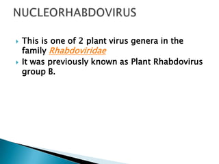   This is one of 2 plant virus genera in the
    family Rhabdoviridae
   It was previously known as Plant Rhabdovirus
    group B.
 
