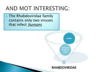    The Rhabdoviridae family
    contains only two viruses
    that infect humans


                                       RABIES




                                 VESICULAR
                                 STOMATIS
                                   VIRUS




                            RHABDOVIRIDAE
 