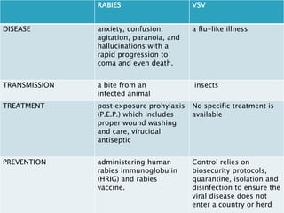 RABIES                     VSV


DISEASE        anxiety, confusion,        a flu-like illness
               agitation, paranoia, and
               hallucinations with a
               rapid progression to
               coma and even death.


TRANSMISSION   a bite from an             insects
               infected animal
TREATMENT      post exposure prohylaxis   No specific treatment is
               (P.E.P.) which includes    available
               proper wound washing
               and care, virucidal
               antiseptic


PREVENTION     administering human        Control relies on
               rabies immunoglobulin      biosecurity protocols,
               (HRIG) and rabies          quarantine, isolation and
               vaccine.                   disinfection to ensure the
                                          viral disease does not
                                          enter a country or herd
 