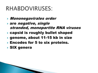    Mononegavirales order
   are negative, single
    stranded, monopartite RNA viruses
   capsid is roughly bullet shaped
   genome, about 11-15 kb in size
   Encodes for 5 to six proteins.
   SIX genera
 