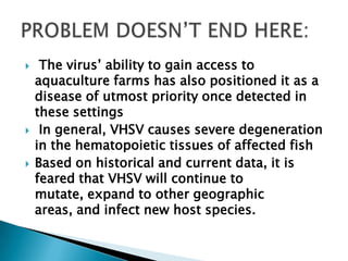     The virus’ ability to gain access to
    aquaculture farms has also positioned it as a
    disease of utmost priority once detected in
    these settings
    In general, VHSV causes severe degeneration
    in the hematopoietic tissues of affected fish
   Based on historical and current data, it is
    feared that VHSV will continue to
    mutate, expand to other geographic
    areas, and infect new host species.
 