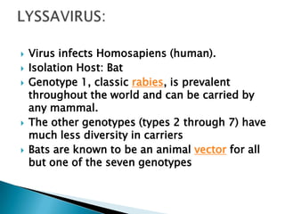    Virus infects Homosapiens (human).
   Isolation Host: Bat
   Genotype 1, classic rabies, is prevalent
    throughout the world and can be carried by
    any mammal.
   The other genotypes (types 2 through 7) have
    much less diversity in carriers
   Bats are known to be an animal vector for all
    but one of the seven genotypes
 