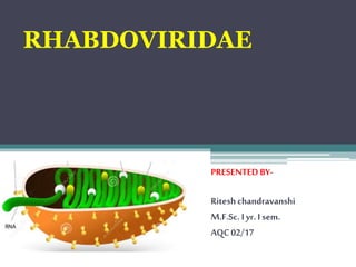 RHABDOVIRIDAE
PRESENTEDBY-
Ritesh chandravanshi
M.F.Sc. Iyr. I sem.
AQC02/17
 