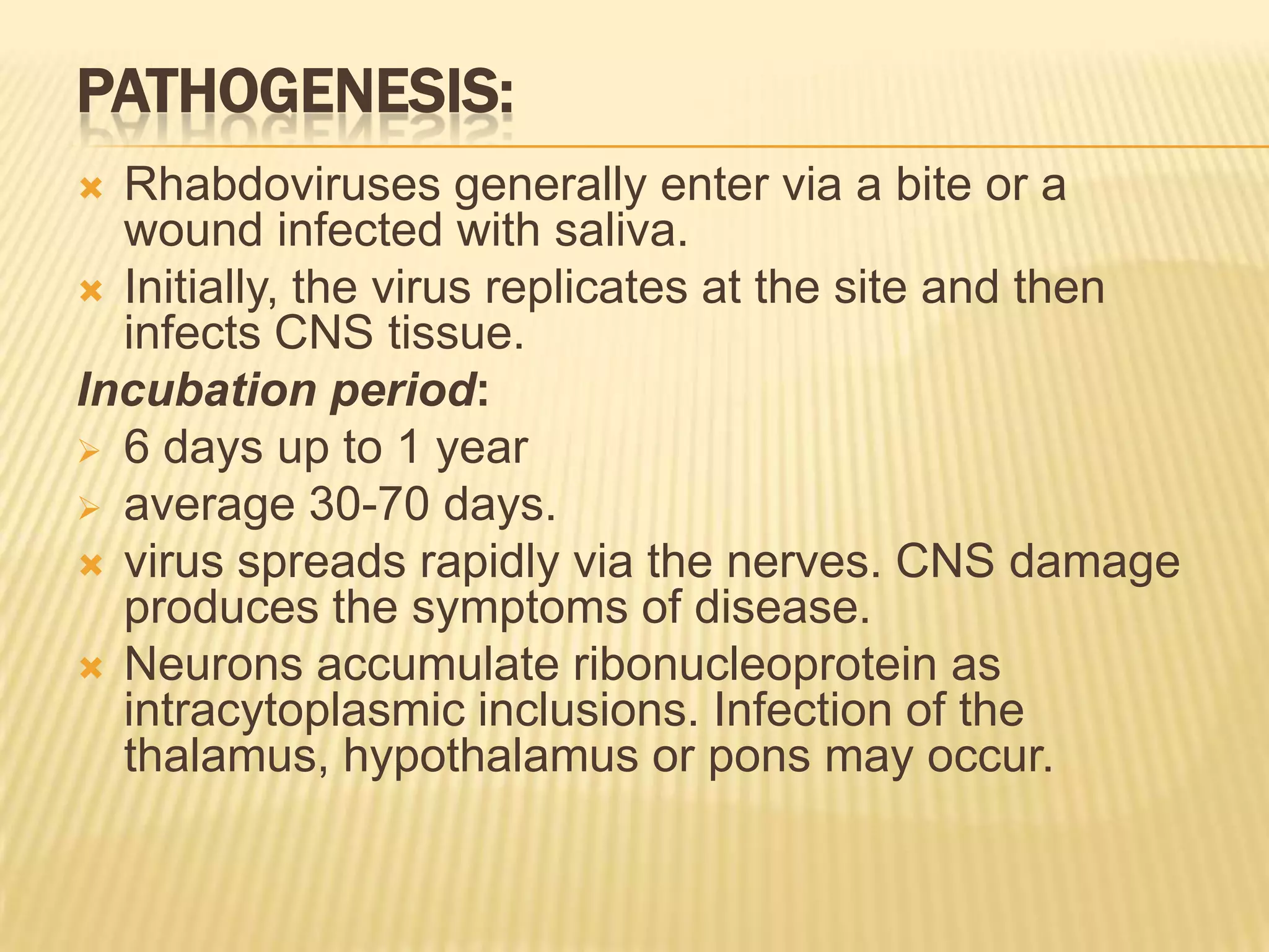 PATHOGENESIS:
 Rhabdoviruses generally enter via a bite or a
  wound infected with saliva.
 Initially, the virus replicates at the site and then
  infects CNS tissue.
Incubation period:
 6 days up to 1 year
 average 30-70 days.
 virus spreads rapidly via the nerves. CNS damage
  produces the symptoms of disease.
 Neurons accumulate ribonucleoprotein as
  intracytoplasmic inclusions. Infection of the
  thalamus, hypothalamus or pons may occur.
 