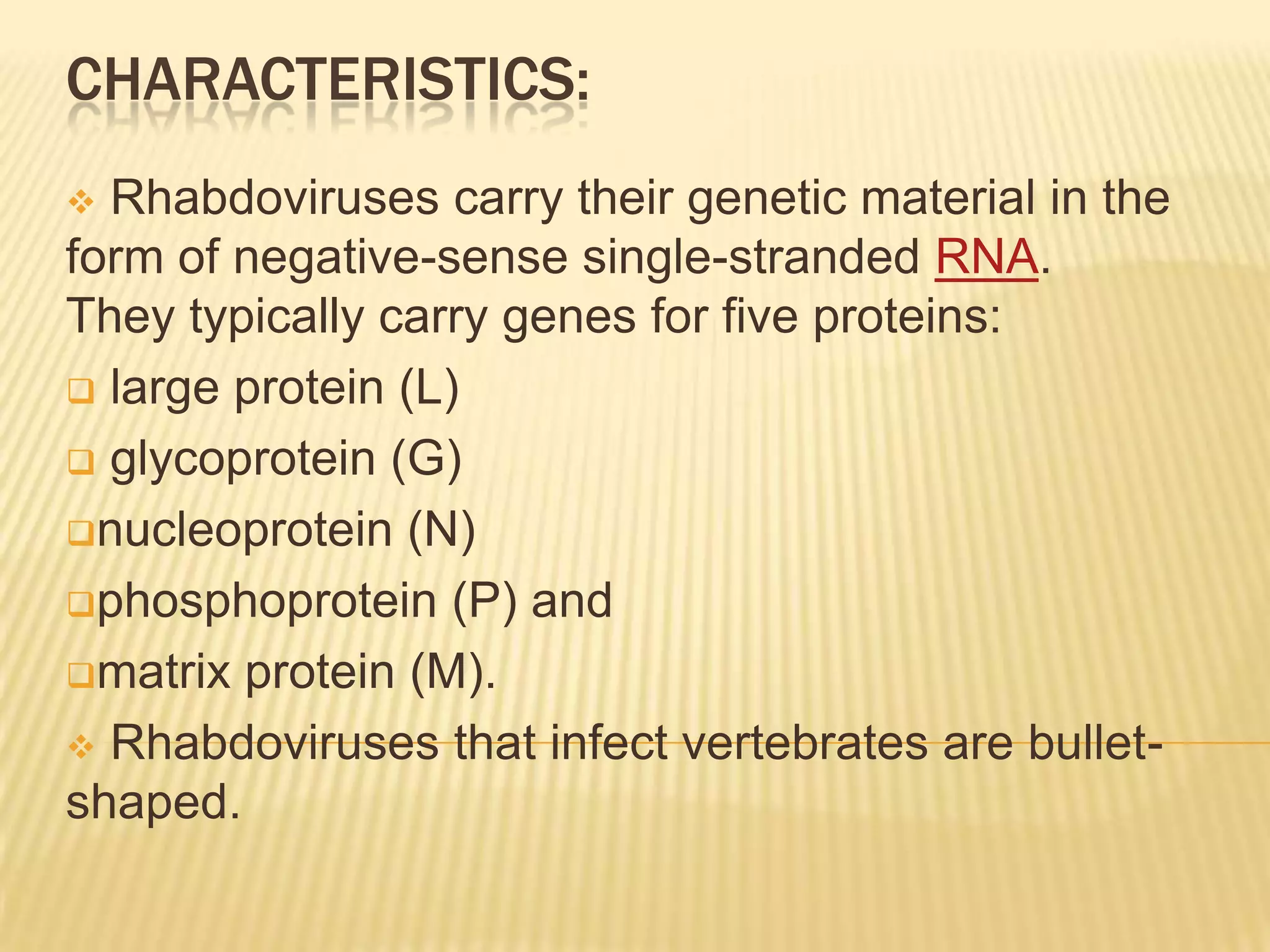 CHARACTERISTICS:
 Rhabdoviruses carry their genetic material in the
form of negative-sense single-stranded RNA.
They typically carry genes for five proteins:
 large protein (L)

 glycoprotein (G)

nucleoprotein (N)

phosphoprotein (P) and

matrix protein (M).

 Rhabdoviruses that infect vertebrates are bullet-
shaped.
 