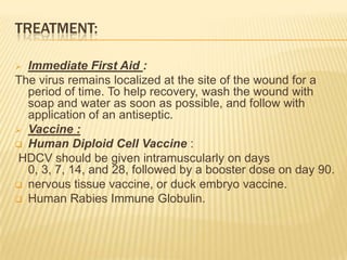 TREATMENT:

 Immediate First Aid :
The virus remains localized at the site of the wound for a
  period of time. To help recovery, wash the wound with
  soap and water as soon as possible, and follow with
  application of an antiseptic.
 Vaccine :
 Human Diploid Cell Vaccine :
HDCV should be given intramuscularly on days
  0, 3, 7, 14, and 28, followed by a booster dose on day 90.
 nervous tissue vaccine, or duck embryo vaccine.
 Human Rabies Immune Globulin.
 