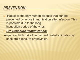 PREVENTION:
  Rabies is the only human disease that can be
  prevented by active immunization after infection. This
  is possible due to the long
  incubation period of the virus.
 Pre-Exposure Immunization:

Anyone at high risk of contact with rabid animals may
  seek pre-exposure prophylaxis.
 