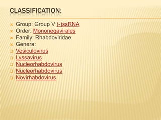 CLASSIFICATION:
   Group: Group V (-)ssRNA
   Order: Mononegavirales
   Family: Rhabdoviridae
   Genera:
   Vesiculovirus
   Lyssavirus
   Nucleorhabdovirus
   Nucleorhabdovirus
   Novirhabdovirus
 