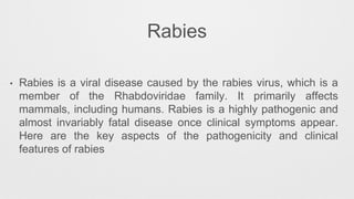 Rhabdo Virus.pptx