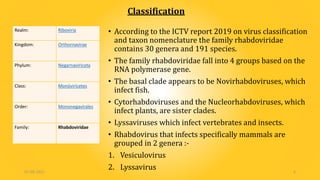 Rhabdovirus by rk taram | PDF