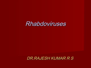 RhabdovirusesRhabdoviruses
DR.RAJESH KUMAR R SDR.RAJESH KUMAR R S
 