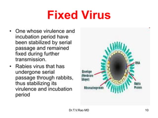 Fixed Virus
• One whose virulence and
incubation period have
been stabilized by serial
passage and remained
fixed during further
transmission.
• Rabies virus that has
undergone serial
passage through rabbits,
thus stabilizing its
virulence and incubation
period
Dr.T.V.Rao MD 10
 