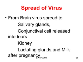 Spread of Virus
• From Brain virus spread to
Salivary glands,
Conjunctival cell released
into tears
Kidney
Lactating glands and Milk
after pregnancy
Dr.T.V.Rao MD 25
 