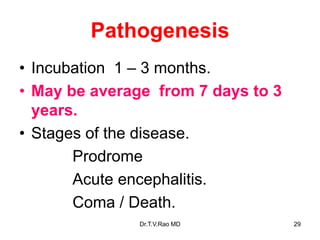 Pathogenesis
• Incubation 1 – 3 months.
• May be average from 7 days to 3
years.
• Stages of the disease.
Prodrome
Acute encephalitis.
Coma / Death.
Dr.T.V.Rao MD 29
 