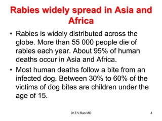 Rabies widely spread in Asia and
Africa
• Rabies is widely distributed across the
globe. More than 55 000 people die of
rabies each year. About 95% of human
deaths occur in Asia and Africa.
• Most human deaths follow a bite from an
infected dog. Between 30% to 60% of the
victims of dog bites are children under the
age of 15.
Dr.T.V.Rao MD 4
 