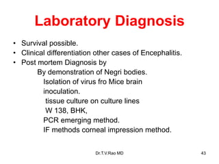 Laboratory Diagnosis
• Survival possible.
• Clinical differentiation other cases of Encephalitis.
• Post mortem Diagnosis by
By demonstration of Negri bodies.
Isolation of virus fro Mice brain
inoculation.
tissue culture on culture lines
W 138, BHK,
PCR emerging method.
IF methods corneal impression method.
Dr.T.V.Rao MD 43
 